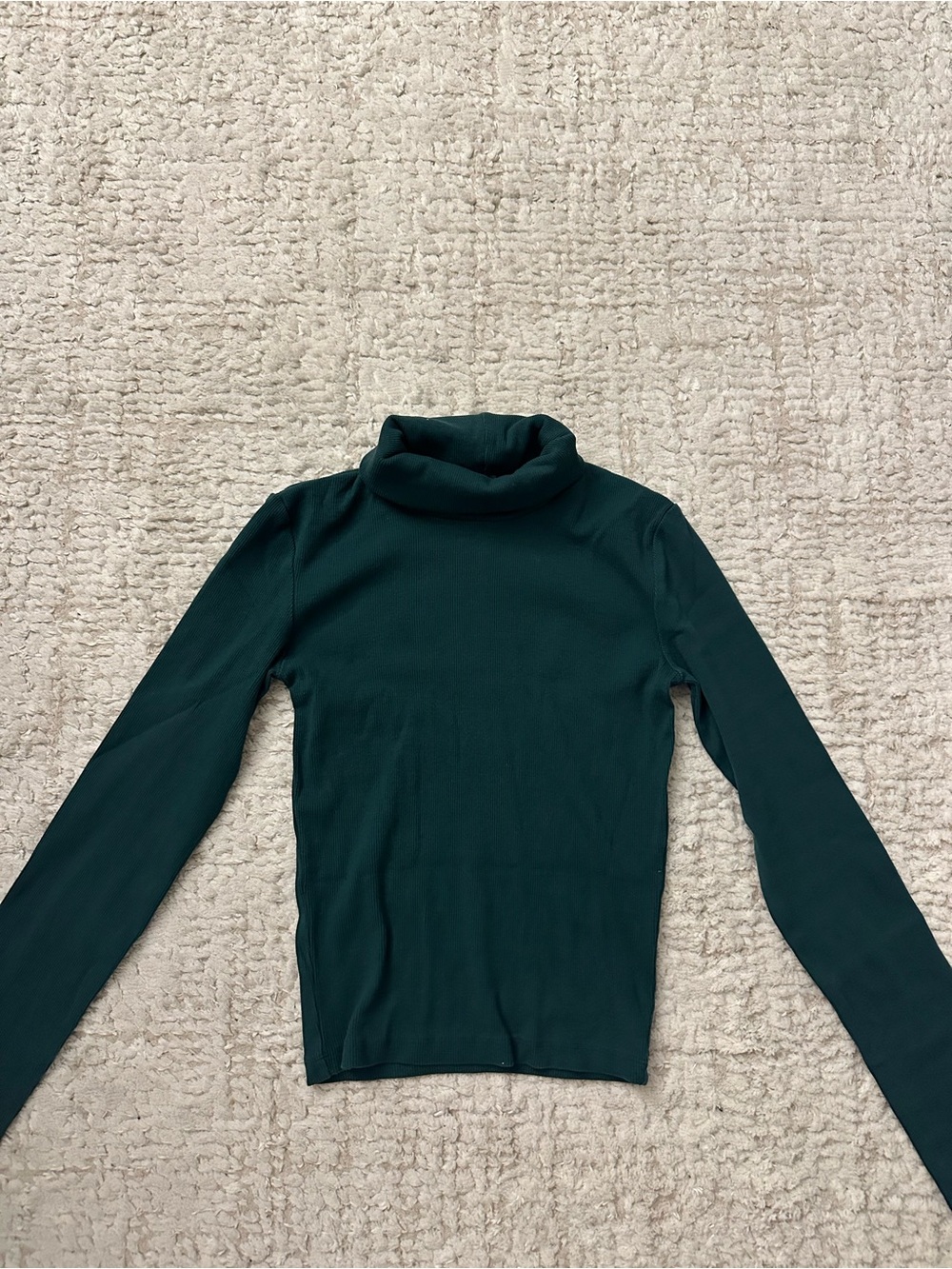 Zara Turtleneck